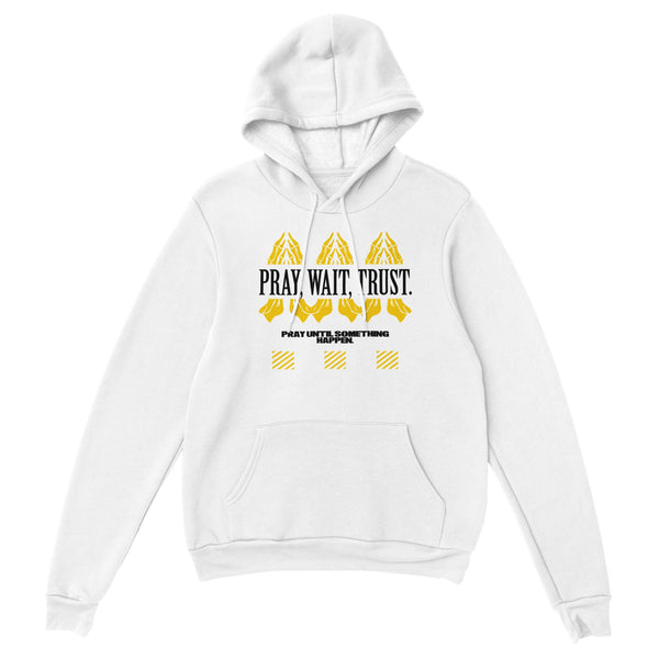 PRAY WAIT TRUST - HOODIE