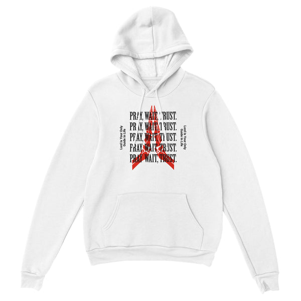 PRAY WAIT TRUST V2 - HOODIE